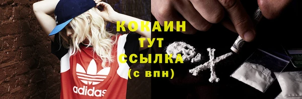 ALPHA PVP Краснослободск